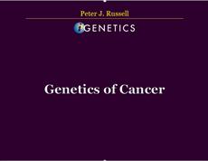 پاورپوینت (اسلاید) Genetics of Cancer